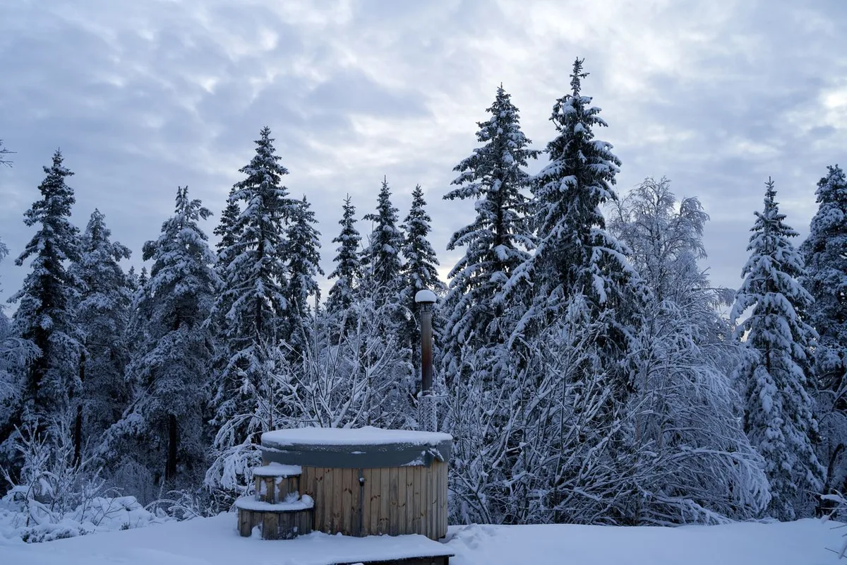 Chalet panoramique avec spa privatif — photo 2